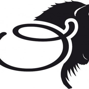 logo Anne